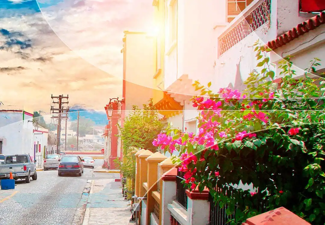 Boleto de autobús a Monterrey