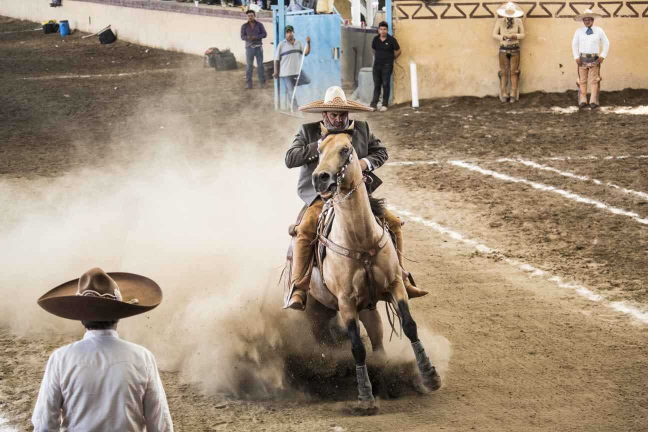 Afiliate a viaja más nuestro programa de lealtad de ETN Turistar Lujo