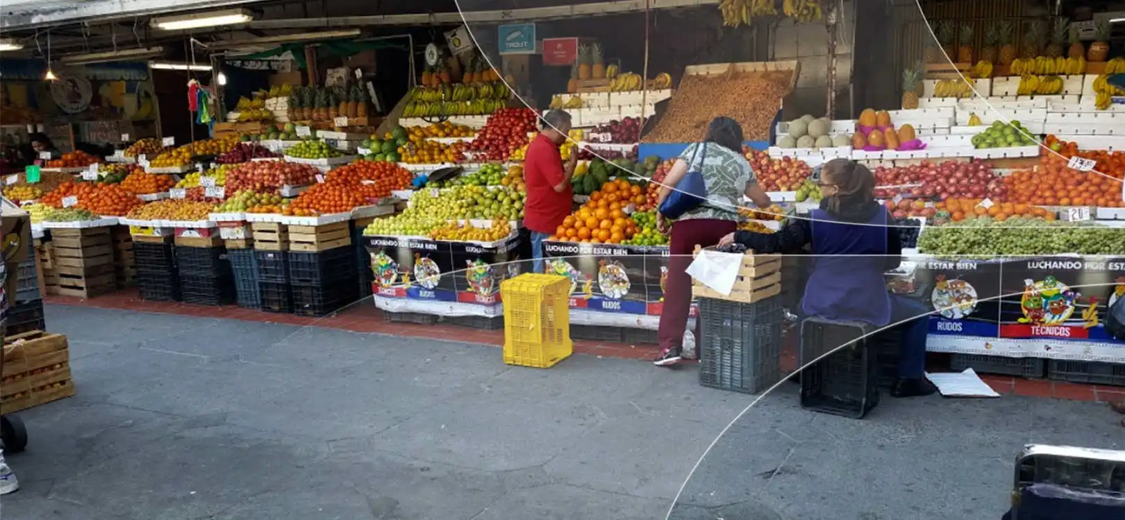 Compra tus boletos de autobús y viaja a Guadalajara