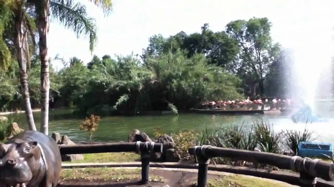 Compra tus boletos de autobús y viaja a Guadalajara